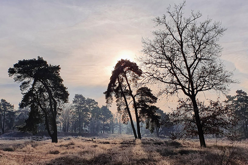 Treekerduinen wandeling
